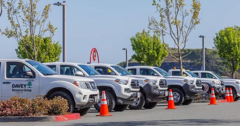 Row of parked company pickup trucks with traffic cones