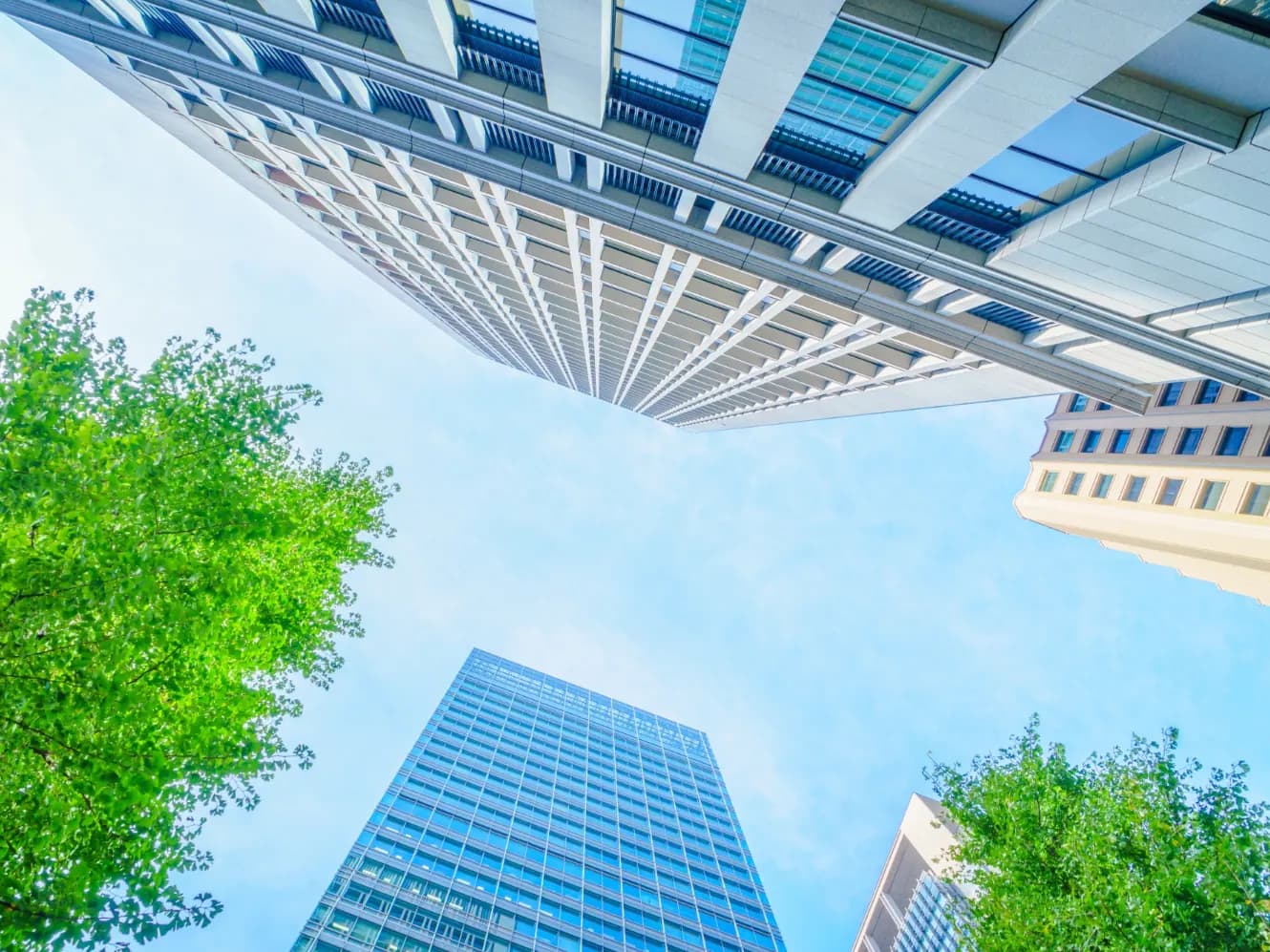 Skyscrapers and trees seen from below against a blue sky
