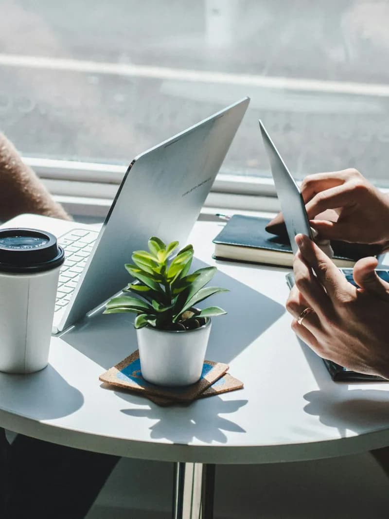 Two laptops and a small plant on a round table