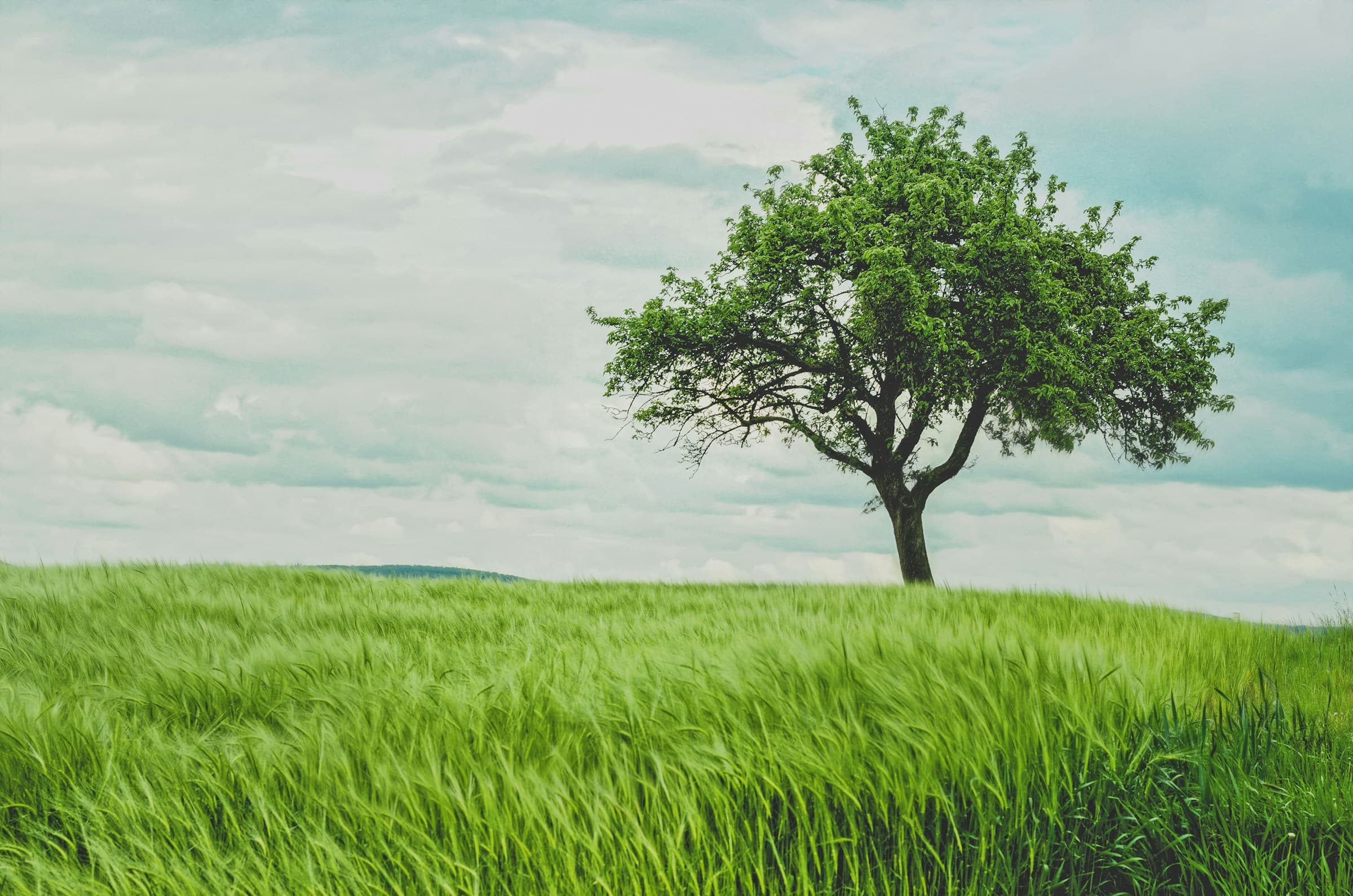 ISO 14001:2026 Geçiş Eğitimi