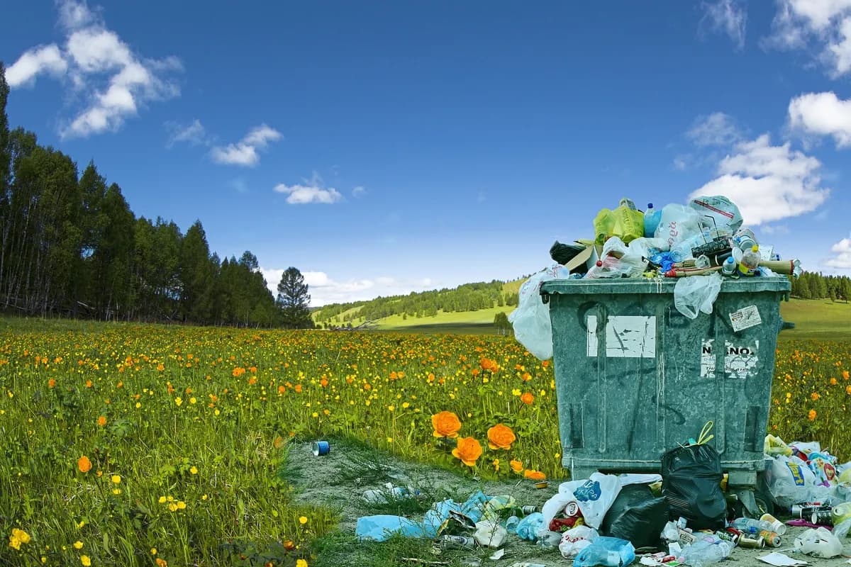 Overflowing waste container in a flowering meadow