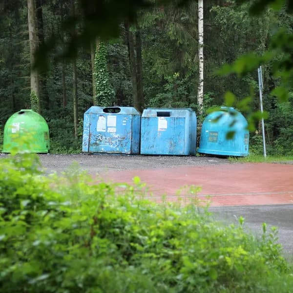 Recycling containers beside a forest path